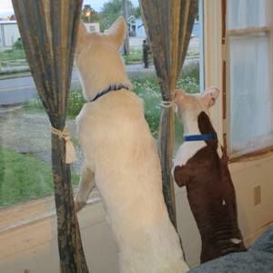 Meet your Posher, Cheryl